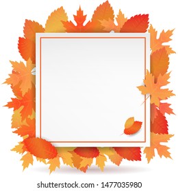 Autumn background in seasonal frame on orange maple leaves and empty space for your text. Wallpaper, blank, card, flyers, poster, brochure, banners, discount, shop, special offer. Ad concept. Vector