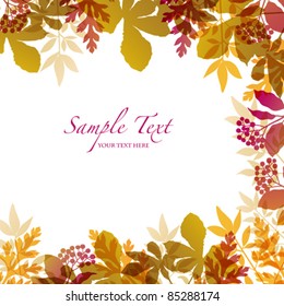autumn background with seed and plant