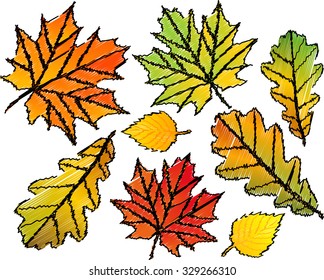Autumn background. Set of colorful  forest falling leaves on white background. Vector illustration, isolated. Hand drawn style. Modern design elements.