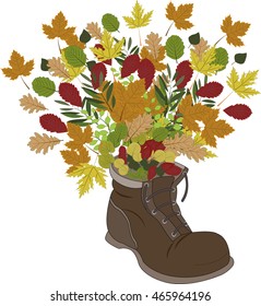 Autumn background with a shoe and leaves. Vector. Autumn leaves illustration.