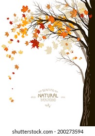 Autumn background with the silhouette of a tree trunk with falling leaves