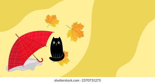 Autumn background. A small black kitten sits next to an umbrella among yellow leaves.