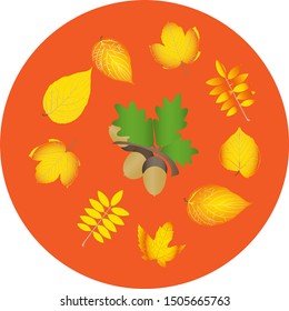 Autumn background in soft warm tone