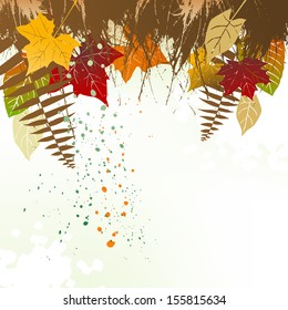 Autumn background with a space for a text