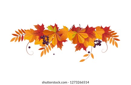 Autumn background with space for text, banner with bright autumn chokeberry, rowan and maple leaves vector Illustration