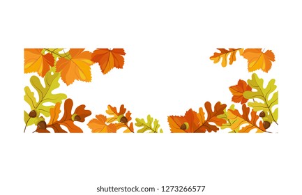 Autumn background with space for text, banner with bright oak and maple leaves vector Illustration