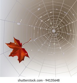 Autumn background with spider web with transparent shining water drops.