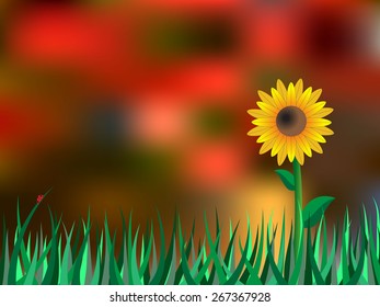 Autumn background with sunflower and blur leaves