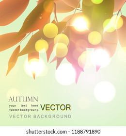 Autumn background. Sunlight and bokeh. Vector background.