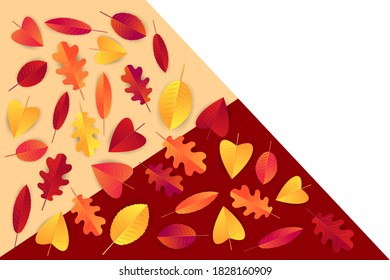 Autumn background template for business promo. Fall design concept for advertisement. vector illustration.