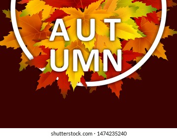 Autumn Background Template, with falling bunch of leaves, shopping sale or seasonal poster for shopping discount promotion, Postcard and Invitation card. Vector illustration Voucher, Banner, Flyer