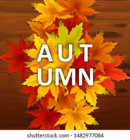 Autumn Background Template, with falling bunch of leaves on wooden boards, shopping sale or seasonal poster for shopping discount promotion, Postcard and Invitation card. Vector illustration Voucher