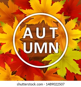 Autumn Background Template, with falling bunch of leaves on wooden boards, shopping sale or seasonal poster for shopping discount promotion, Postcard and Invitation card. Vector illustration Voucher