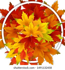 Autumn Background Template, with falling bunch of leaves on wooden boards, shopping sale or seasonal poster for shopping discount promotion, Postcard and Invitation card. Vector illustration Voucher