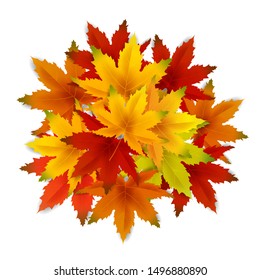 Autumn Background Template, with falling bunch of leaves, shopping sale or seasonal poster for shopping discount promotion, Postcard and Invitation card. Vector illustration Voucher, Banner, Flyer