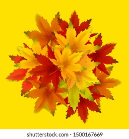 Autumn Background Template, with falling bunch of leaves, shopping sale or seasonal poster for shopping discount promotion, Postcard and Invitation card. Vector illustration Voucher, Banner, Flyer