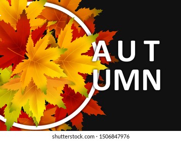 Autumn Background Template, with falling bunch of leaves, shopping sale or seasonal poster for shopping discount promotion, Postcard and Invitation card. Vector illustration Voucher, Banner, Flyer