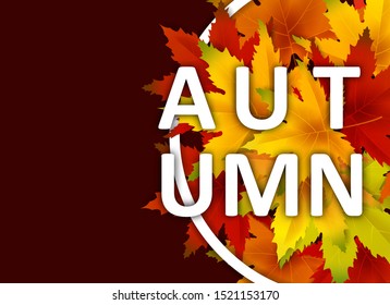 Autumn Background Template, with falling bunch of leaves, shopping sale or seasonal poster for shopping discount promotion, Postcard and Invitation card. Vector illustration Voucher, Banner, Flyer