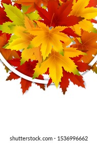 Autumn Background Template, with falling bunch of leaves, shopping sale or seasonal poster for shopping discount promotion, Postcard and Invitation card. Vector illustration Voucher, Banner, Flyer