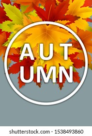 Autumn Background Template, with falling bunch of leaves, shopping sale or seasonal poster for shopping discount promotion, Postcard and Invitation card. Vector illustration Voucher, Banner, Flyer