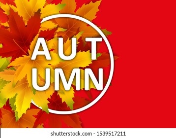 Autumn Background Template, with falling bunch of leaves, shopping sale or seasonal poster for shopping discount promotion, Postcard and Invitation card. Vector illustration Voucher, Banner, Flyer