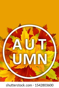 Autumn Background Template, with falling bunch of leaves, shopping sale or seasonal poster for shopping discount promotion, Postcard and Invitation card. Vector illustration Voucher, Banner, Flyer