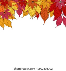 Plantilla de fondo otoñal con hojas. Oferta especial. Tiempo limitado. EPS10 de ilustración vectorial