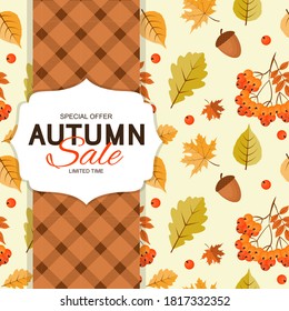Autumn Background Template with leaves. Special offer. Limited Time. Vector Illustration EPS10