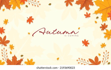 Plantilla de fondo de otoño con hojas de arce