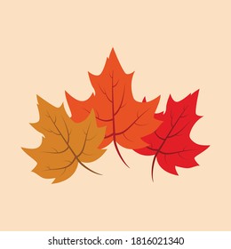 Autumn background with a three colorful leaves
