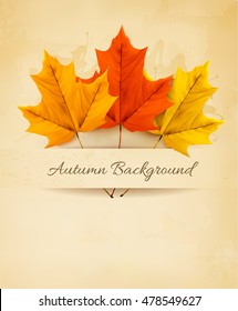 Autumn background with three colorful leaves. Vector.