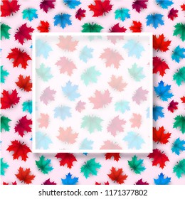 Autumn background with transparent frame and colorful maple leaves pattern. Vector сard or poster template. 