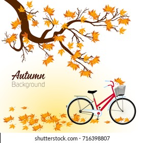 Autumn background with a tree and a bicycle. Vector
