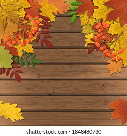 Autumn background, tree paper leaves