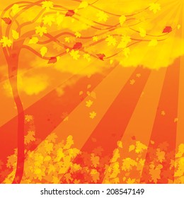 Autumn background with trees and falling leaves 
