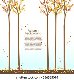 autumn background -trees,leaves,street,falling leaves