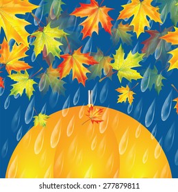 Autumn background with umbrella, maple leaves and rain drops