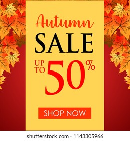 Autumn background vector
