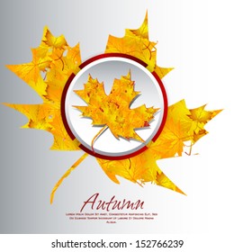 Autumn  background vector