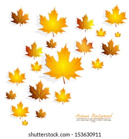 Autumn background vector