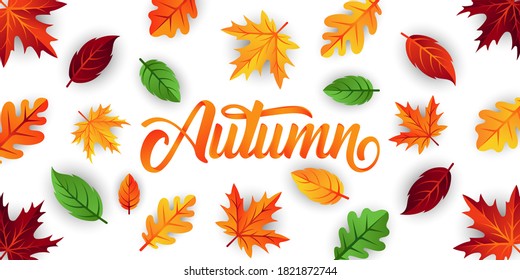 Autumn background vector with decorative leaves. Autumn fall Vector background template. Abstract Autumn background design template for ad, poster, banner, flyer, invitation, website or greeting card