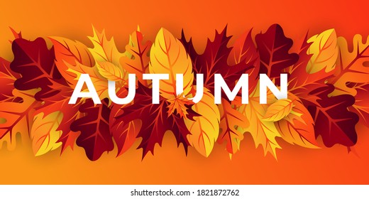 Autumn background vector with decorative leaves. Autumn fall Vector background template. Abstract Autumn background design template for ad, poster, banner, flyer, invitation, website or greeting card