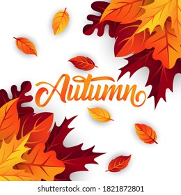 Autumn background vector with decorative leaves. Autumn fall Vector background template. Abstract Autumn background design template for ad, poster, banner, flyer, invitation, website or greeting card