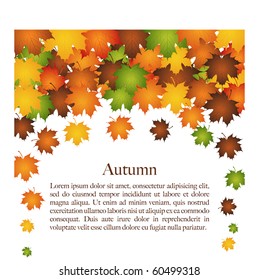 Autumn background vector design