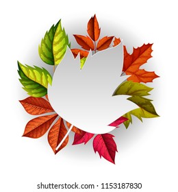 Autumn Background . vector illustation