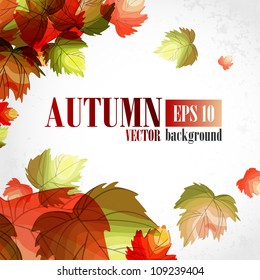 Autumn background. Vector illustration. Eps 10.
