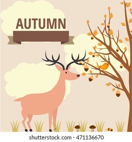 autumn background, vector autumn illustration of mushroom in the rain and under the small clouds in the woods, in nature, vector autumn illustration of flora and fauna in the forest