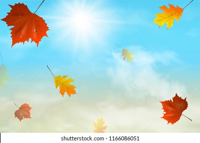 Autumn background. Vector illustration. There is room for your text. Autumn background with multi-colored leaves against the background of autumn sky with falling leaves and fluffy clouds.