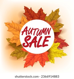 Autumn background wallpaper decorates the leaves to buy in a store or advertising poster and commercial or web banner. Vector Illustration.