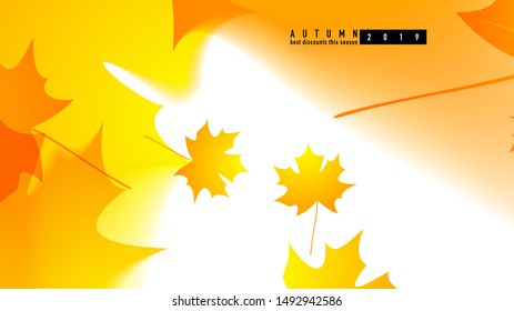 Autumn background for wallpaper. Template for the presentation of autumn discounts in the store. Advertising poster for seasonal information. Catalog with autumn sale of goods.